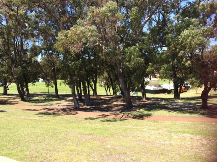 views overlooking the Mawson park
