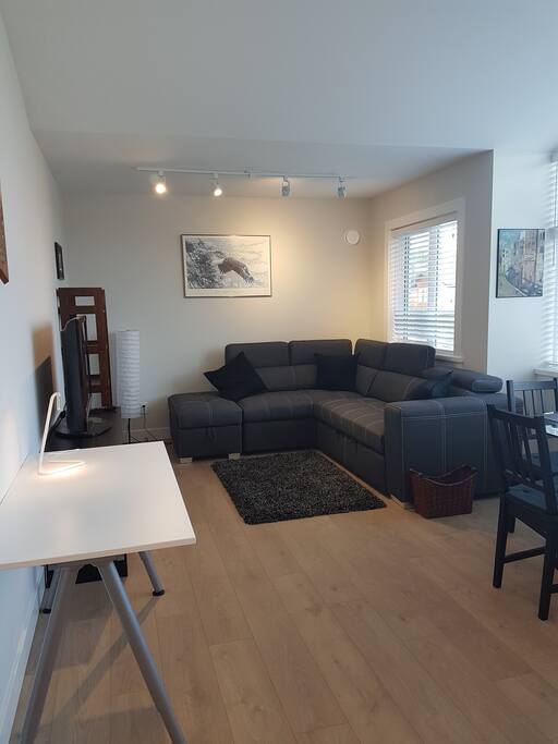 View from the kitchen of the living room with pullout double bed.