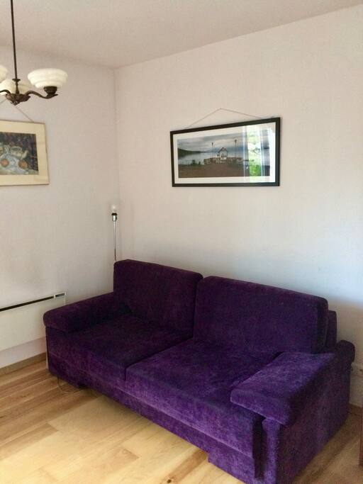 Sofa bed in the living room, spacious enough for two adults
