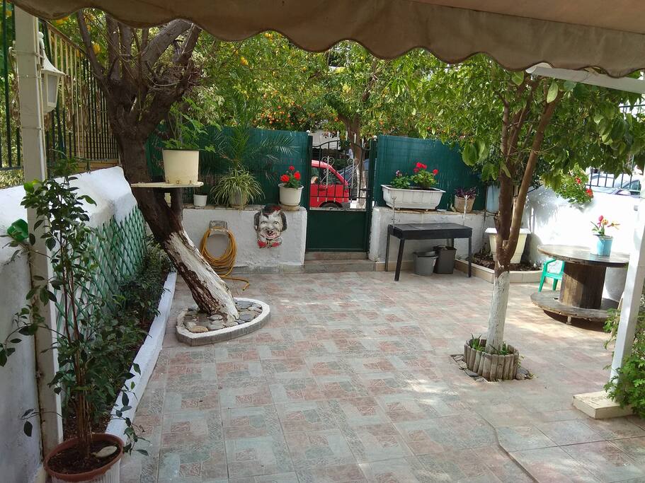 Yard with Barbeque facility