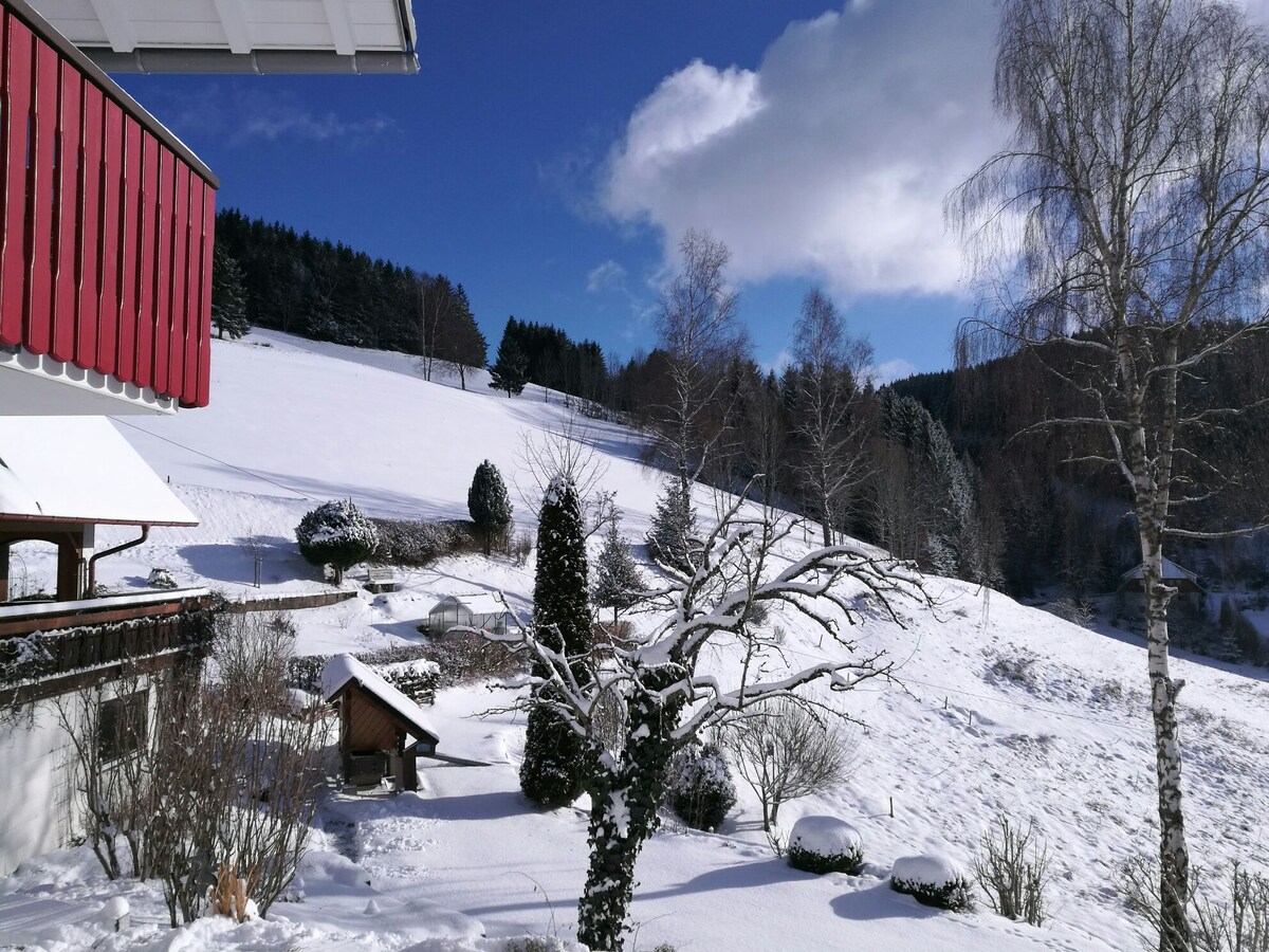 A winter landscape is depicted, featuring a blanket of snow covering the ground and trees. A bare tree stands in the foreground, surrounded by evergreen bushes and a small shed. The distant hills are lined with snow, under a bright blue sky with clouds.