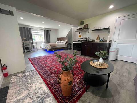 Spacious Cozy Guest Suite