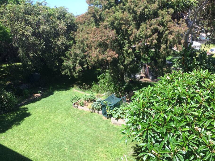 Help yourself to veggies, herbs and eggs from our garden and chooks