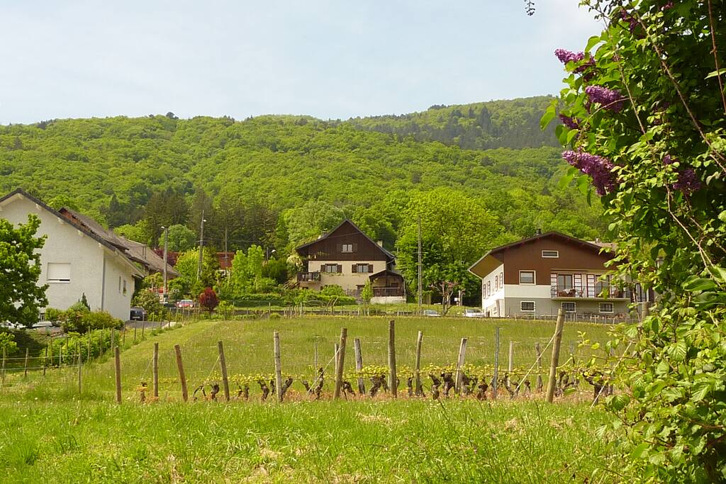 La maison est située dans un petit village très calme, au milieu de la nature.