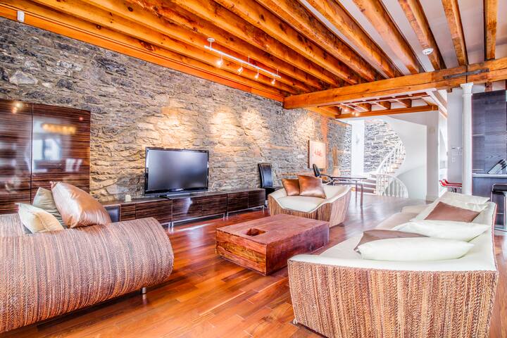 Exotic 2 Floor Penthouse Loft With Terrace gallery image 2