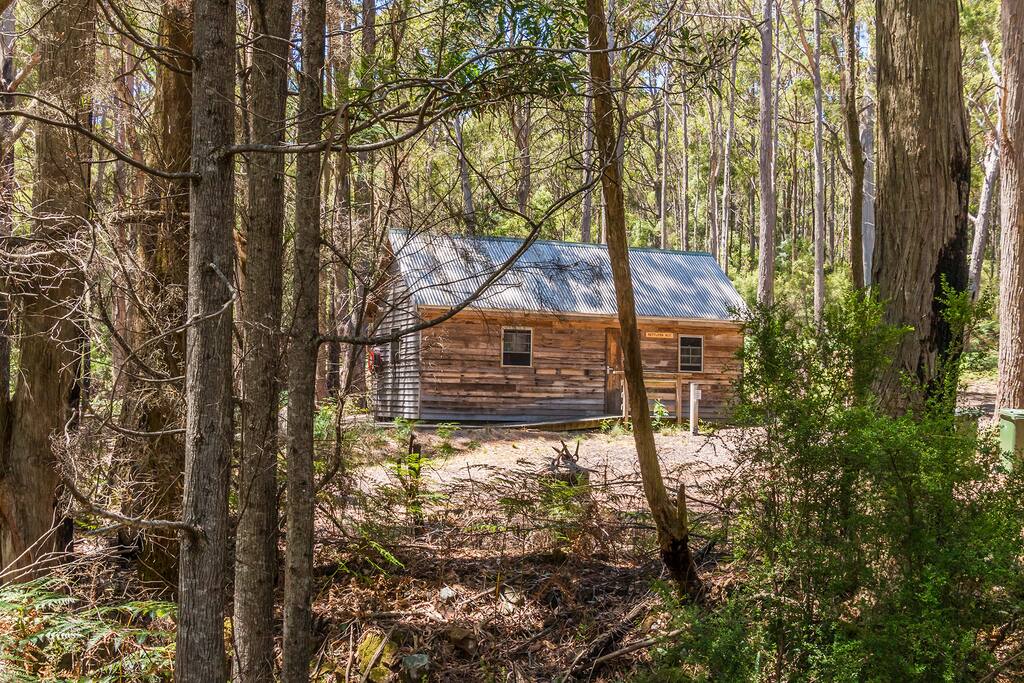 The Settlers Hut: your MTB bush experience