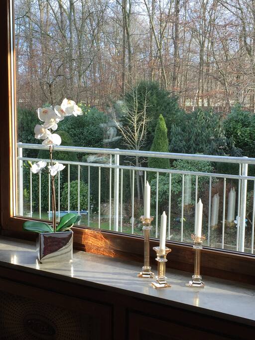 Blick auf Süd-Balkon und Garten