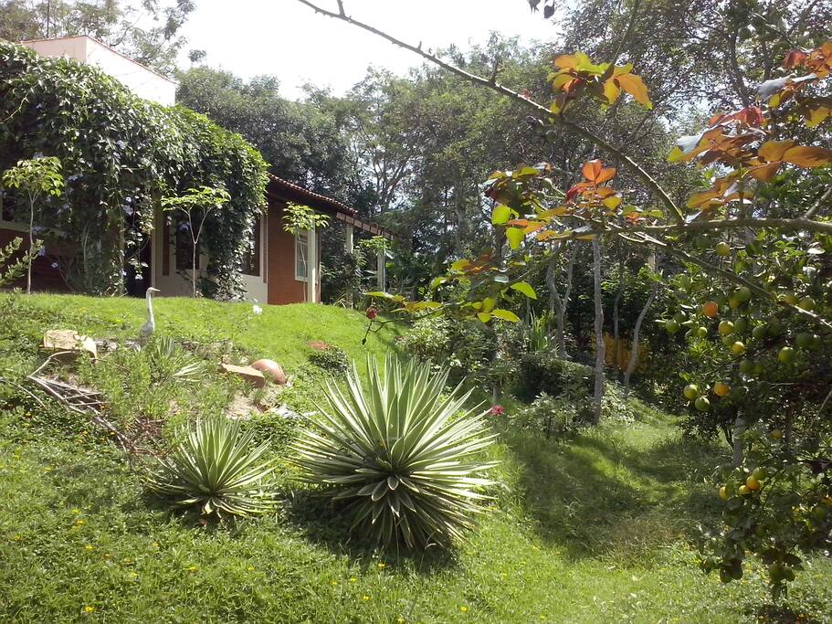 Entrada (época das águas)
