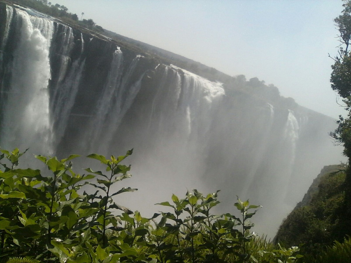 A sweeping view of a grand waterfall showcases cascading water falling into a misty abyss. Lush greenery frames the foreground, creating a natural border that contrasts with the powerful flow of water. The landscape includes rocky edges and a hint of distant vegetation.