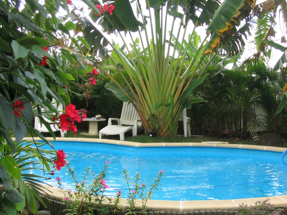 A swimming pool is surrounded by lush greenery and colorful flowers, creating a serene environment. Lounge chairs are positioned beside the water, offering a place to relax. Tall tropical plants frame the pool area, enhancing the natural setting.