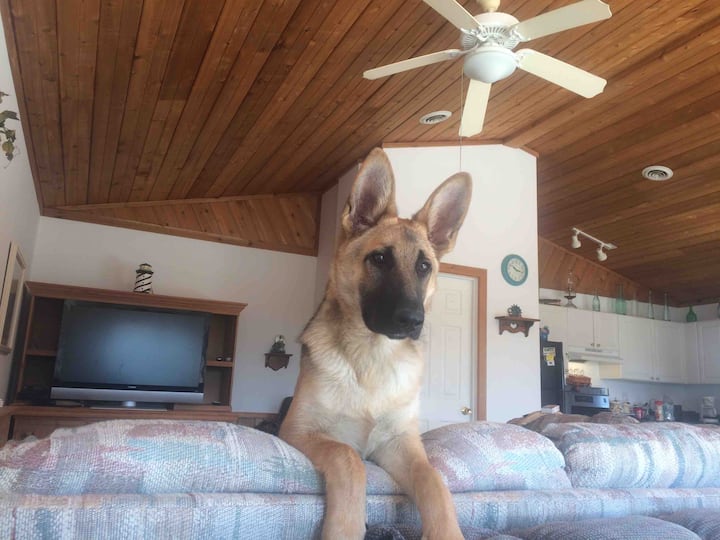 Პაიპერი 