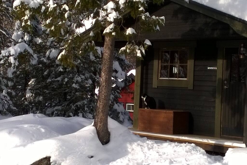 The seperate sauna