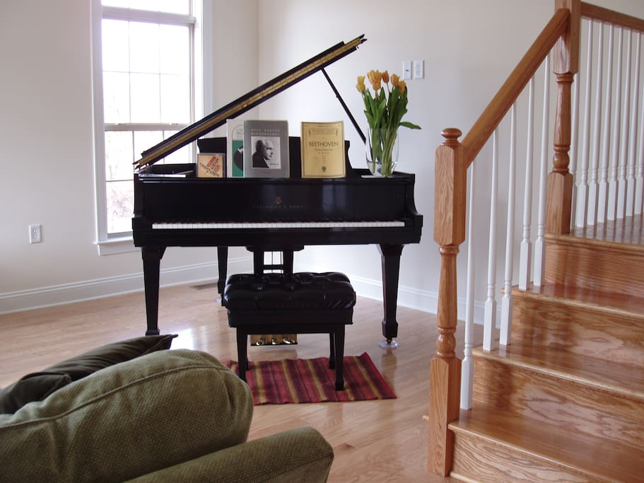 Furnished Rooms For Rent In Arlington Va Furnished Rooms For Rent In Arlington Va