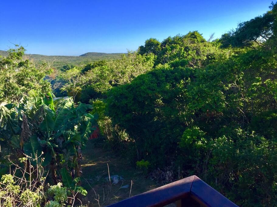 Vista do deck do quarto principal