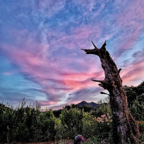Starry Winery Retreat Stay at Salon de Machari Winery
