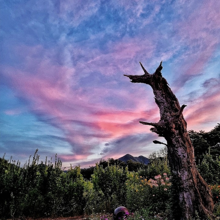 Starry Winery Retreat Stay at Salon de Machari Winery