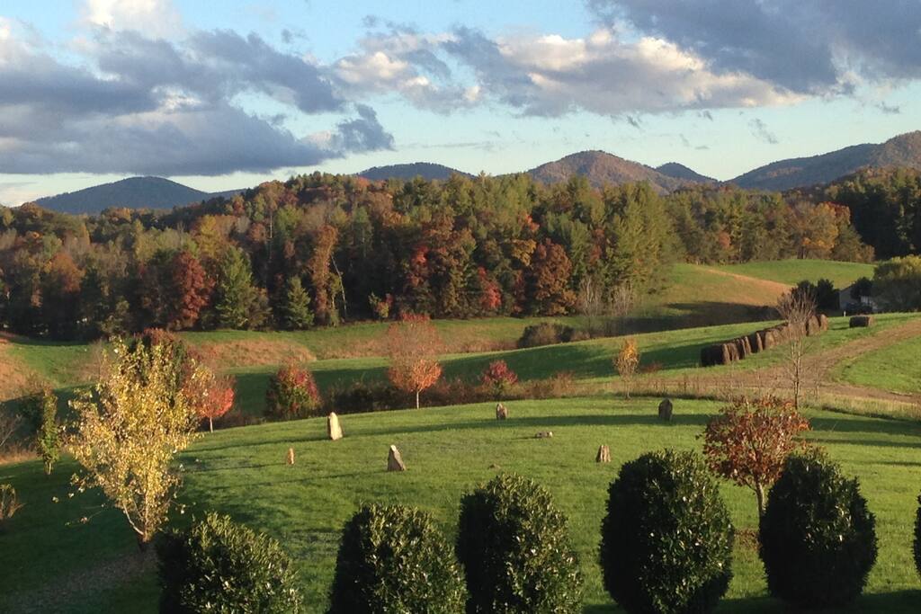 ~Backyard View~