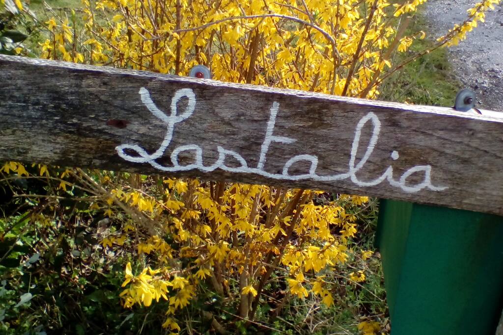 L'entrée/Sartzea