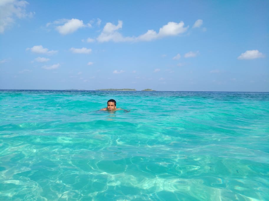 畅游大海