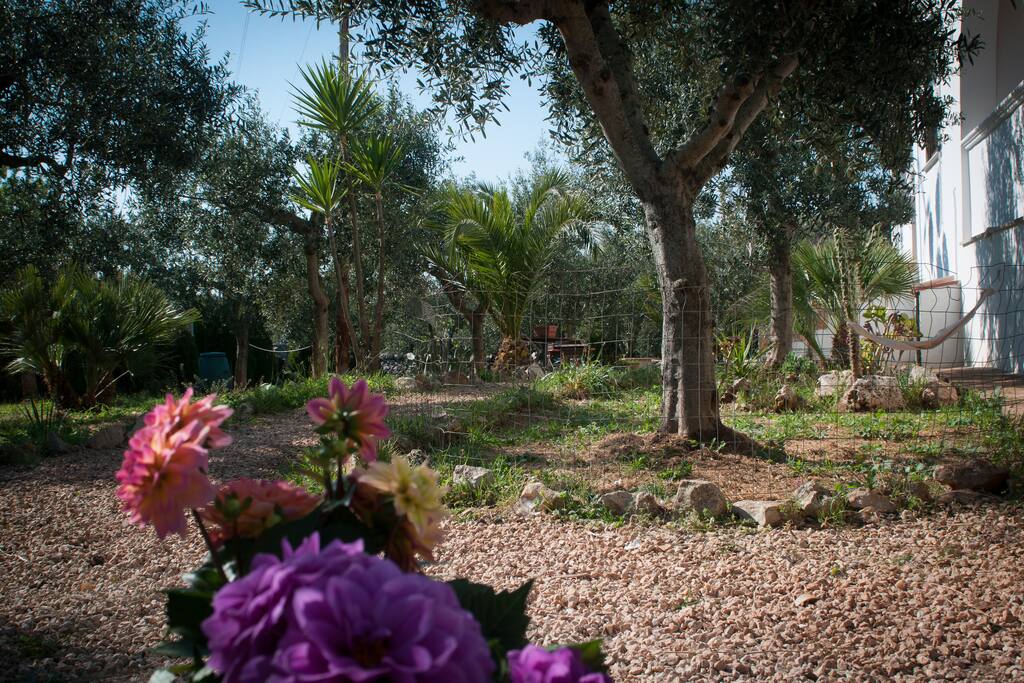 giardino