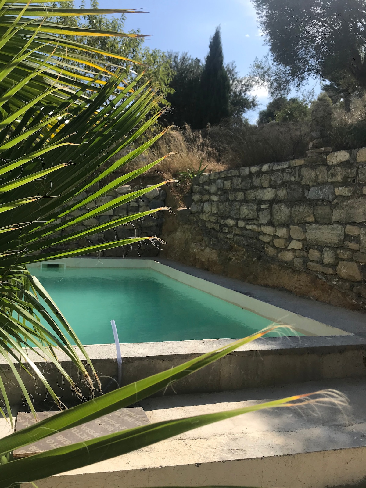 A swimming pool is framed by lush green foliage, creating a serene outdoor space. The clear water reflects the sunlight, and a stone wall provides a rustic backdrop. Textured surfaces of the surrounding area highlight the natural landscape.