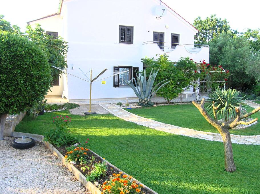 garden