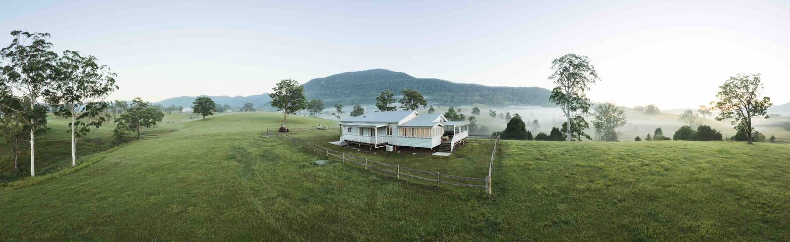Black Cockatoo Tyalgum gallery image 3