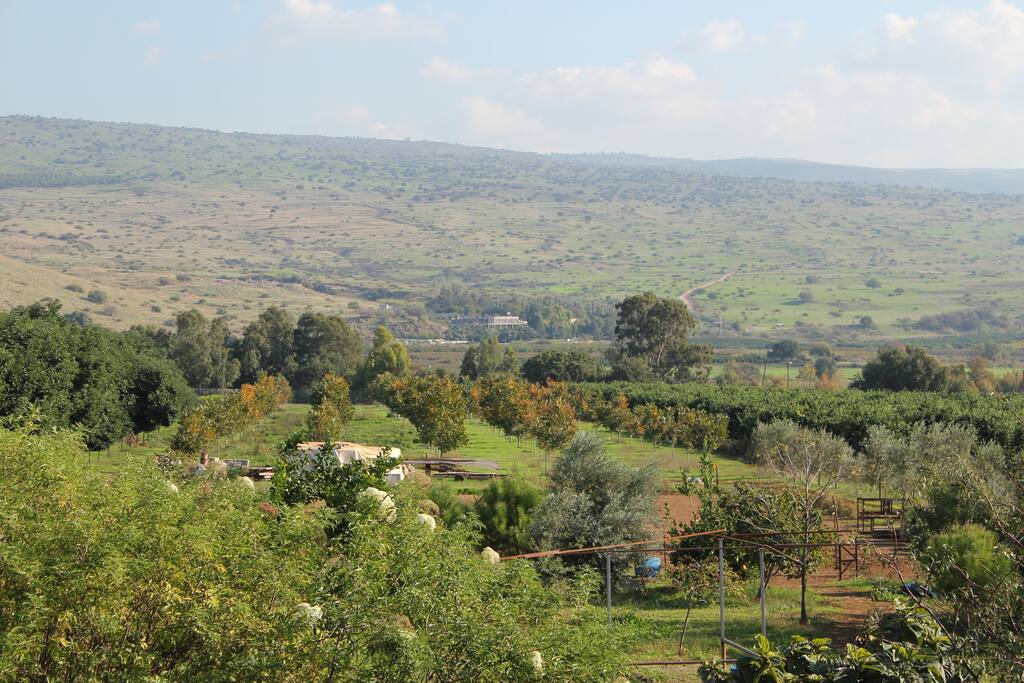 the farm