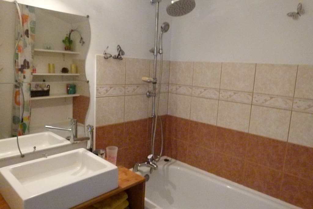salle de bain privée : douche et baignoire