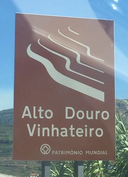 Douro Vineyards