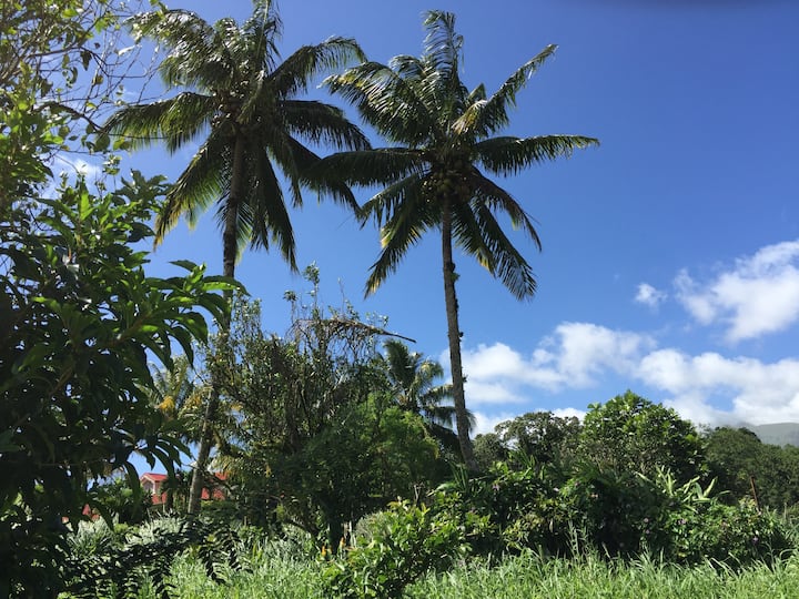 L'AjoupaBouillon locations de vacances et logements La Trinité