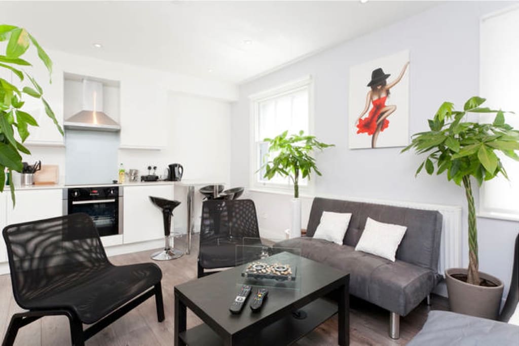 Beautiful Newly Decorated Apartment in The Heart Of Camden Town With Fast Working WI-FI and Cable TV.