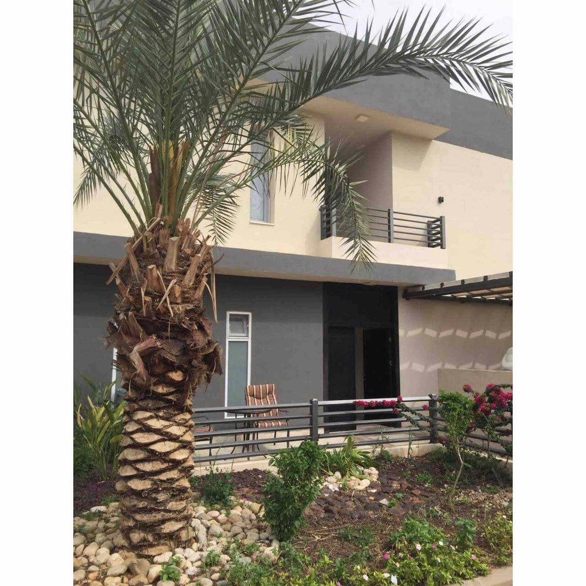 A tall palm tree stands prominently in the foreground, framing a modern building with a muted exterior. A balcony with a railing is visible on the upper level, while vibrant flowers are arranged along the garden path, enhancing the outdoor setting.