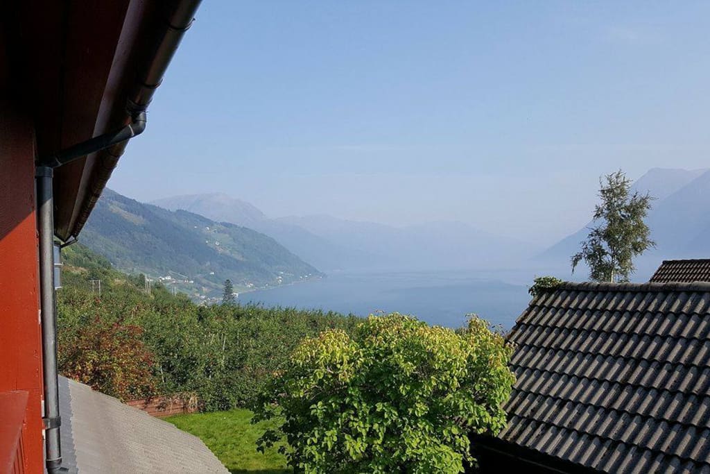 View from the veranda