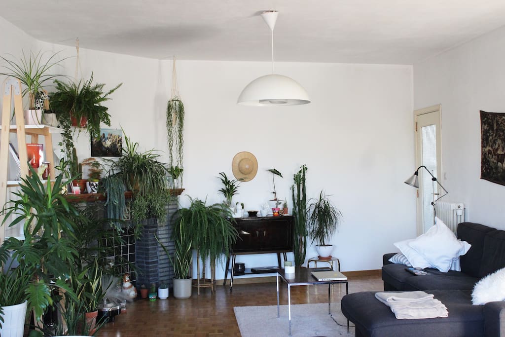 Green Living Room