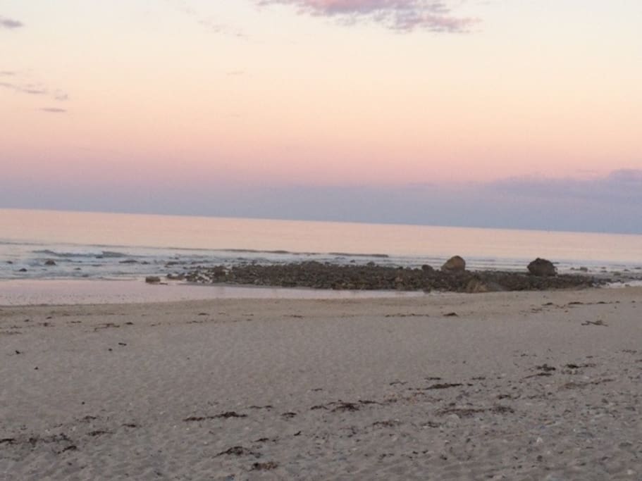 "Beadles" rocks - best tide pool exploring