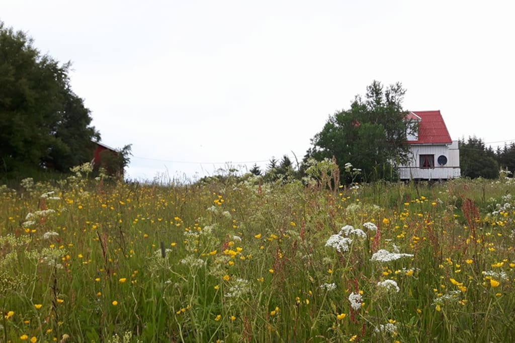 Huset sett fra veien.