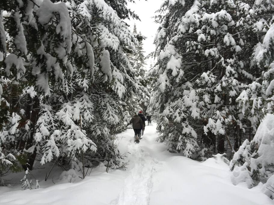 Le terrain de 34 acres offre un environnement nature exceptionnel, hiver comme été.