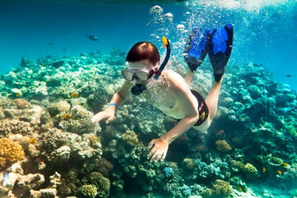  Đảo Cù Lao Chàm - Bạn có thể lăn và xem san hô