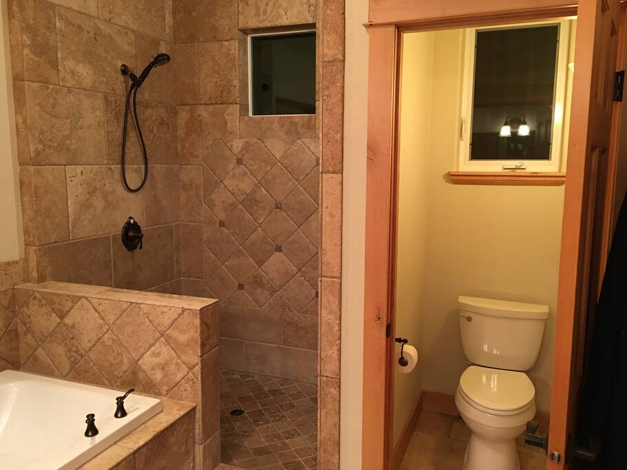 Walk In Shower in Master
