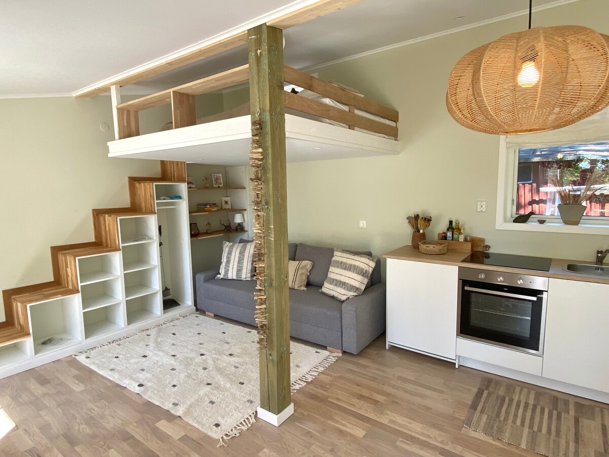 带阁楼的单间公寓小木屋