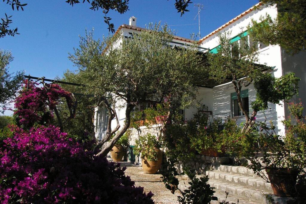 Vista Villa