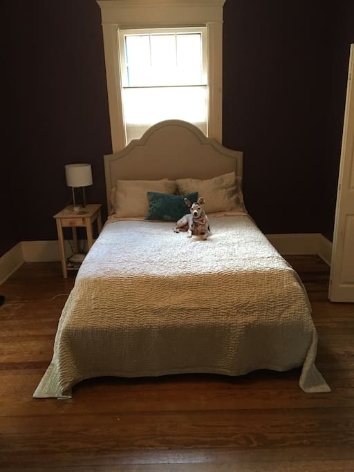 BR 1 with double bed. Dresser and closet space in room