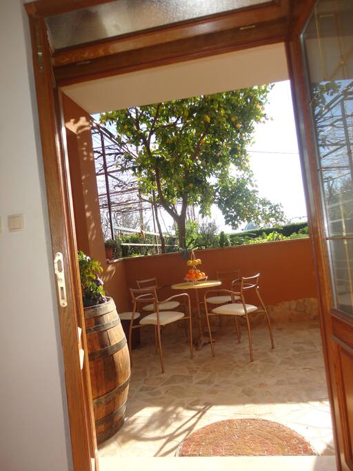 Terrace