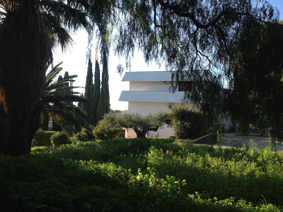 Il giardino