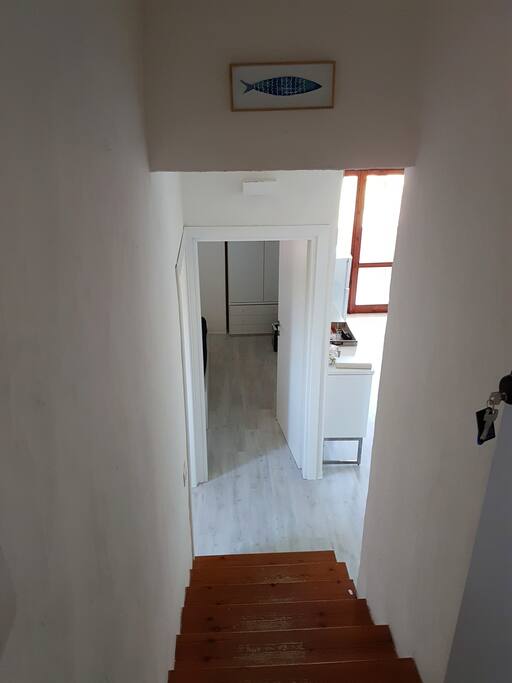 Ingresso