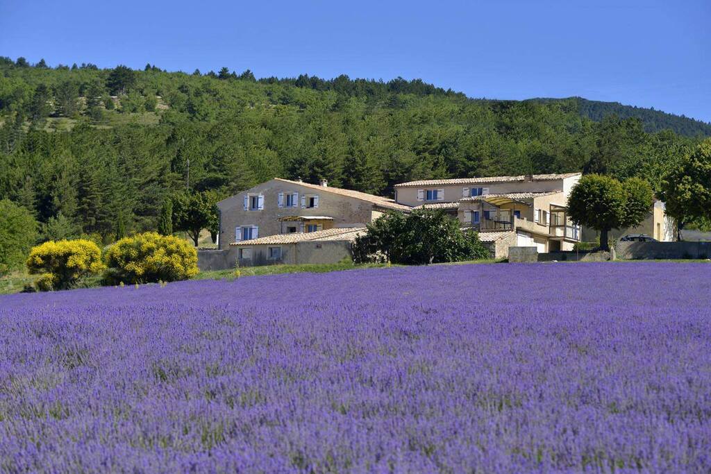 La maison