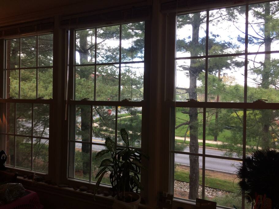 Plenty of natural light