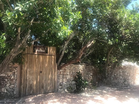 Beautiful Aparment at the beach