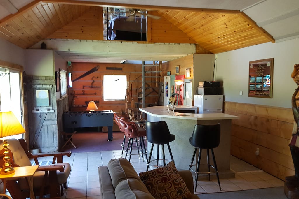 Bar and main living room (pullout couch)